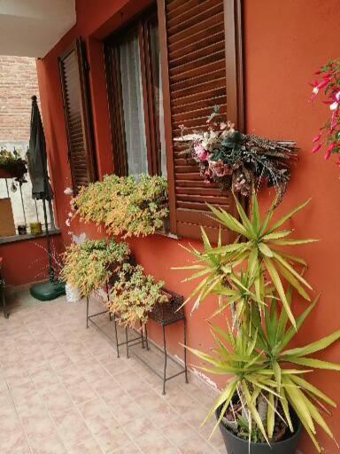 Bed and Breakfast Casa Carolina Castellinaldo Exterior foto